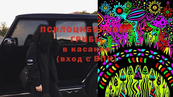 синтетический гашиш Богородск