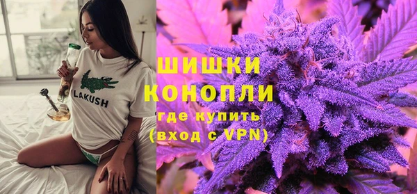 стафф Богданович