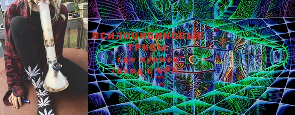 стафф Богданович