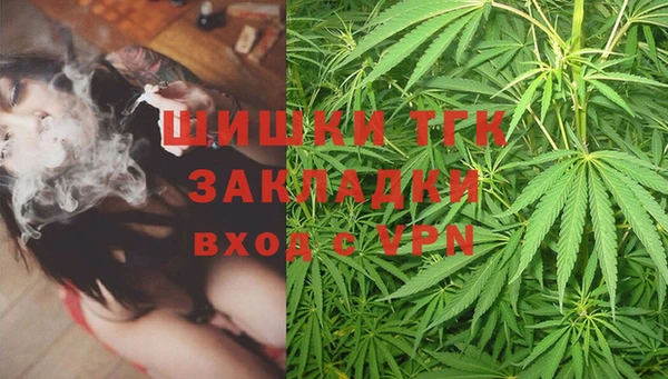 стафф Богданович