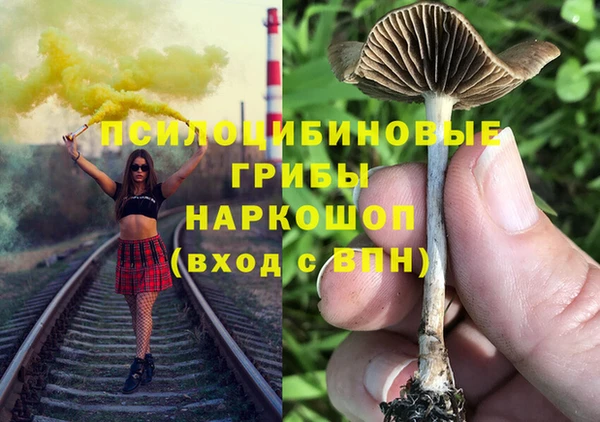 синтетический гашиш Богородск