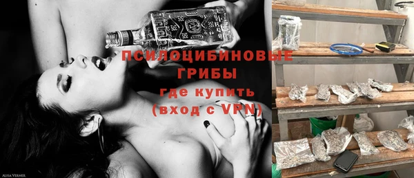 винт Бронницы