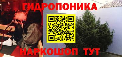 PSILOCYBIN Гусев