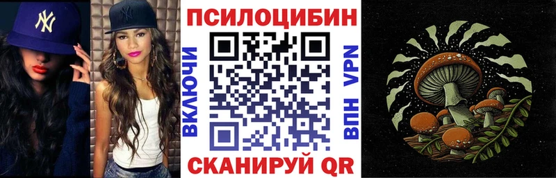 наркошоп  Буйнакск  MEGA зеркало  Псилоцибиновые грибы Magic Shrooms 
