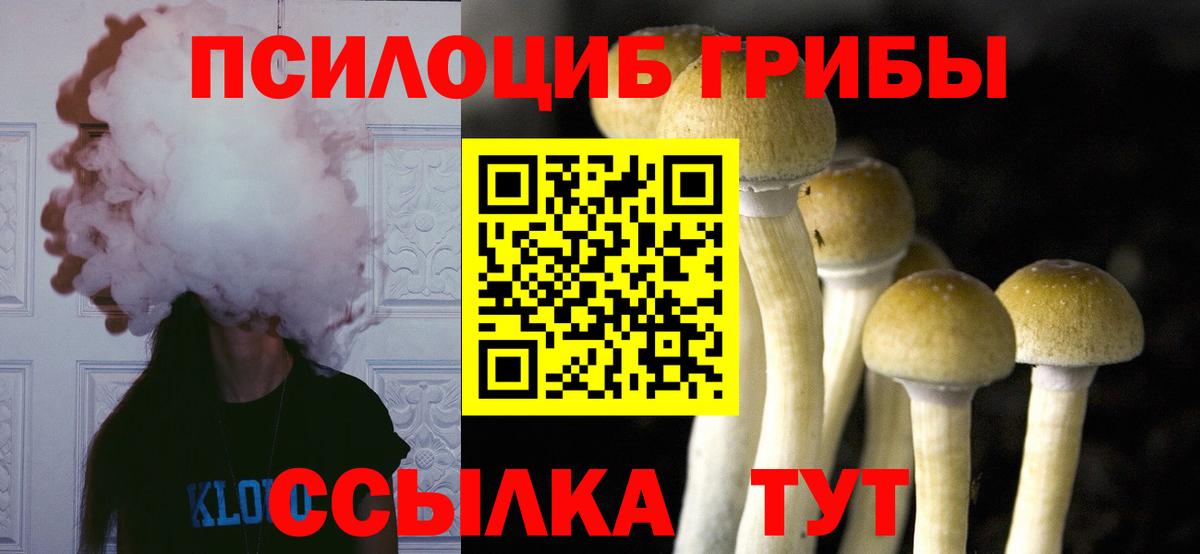 Псилоцибиновые грибы прущие грибы Буйнакск